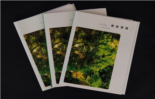 美術(shù)畫冊(cè)