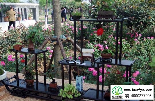 2015 南陽月季展玉雕節(jié)已開幕，花已開好 君可來矣