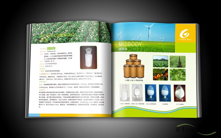 科技公司企業(yè)畫冊(cè)印刷