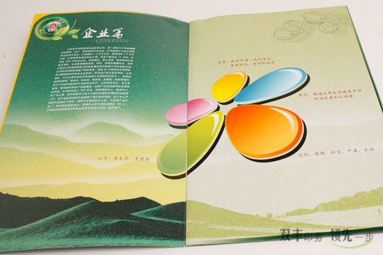 河南印刷廠高檔畫冊(cè)印刷內(nèi)頁用多厚的紙張？